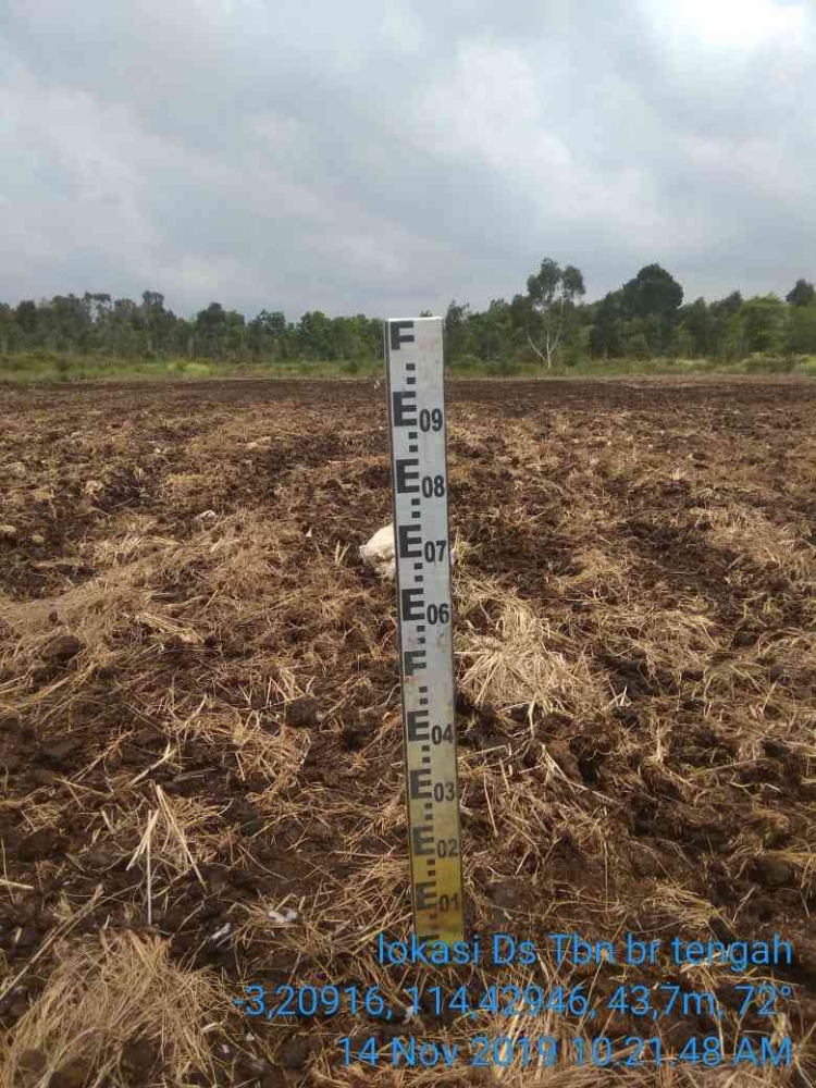 Warna Kuning di Papan Duga Muka Air pada Lahan Rawa Pasang Surut Akibat Terangkatnya Kandungan Besi Ke Permukaan (Dokumen Pribadi)