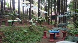 Tempat duduk untuk nongkrong bagi pengunjung Wisata Bukit Pinus Carangwulung (dokumentasi pribadi)