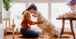 Memelihara hewan meningkatkan kesejahteraan mental | sumber foto: theedmondway.com