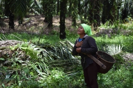 Foto: Suwarni, petani sawit dari Dusun Empering, Kalimantan Barat (koleksi Solidaridad Indonesia)