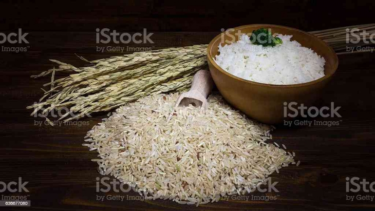 Padi, butiran beras, dan nasi matang siap santap (dok foto: istockphoto.com)