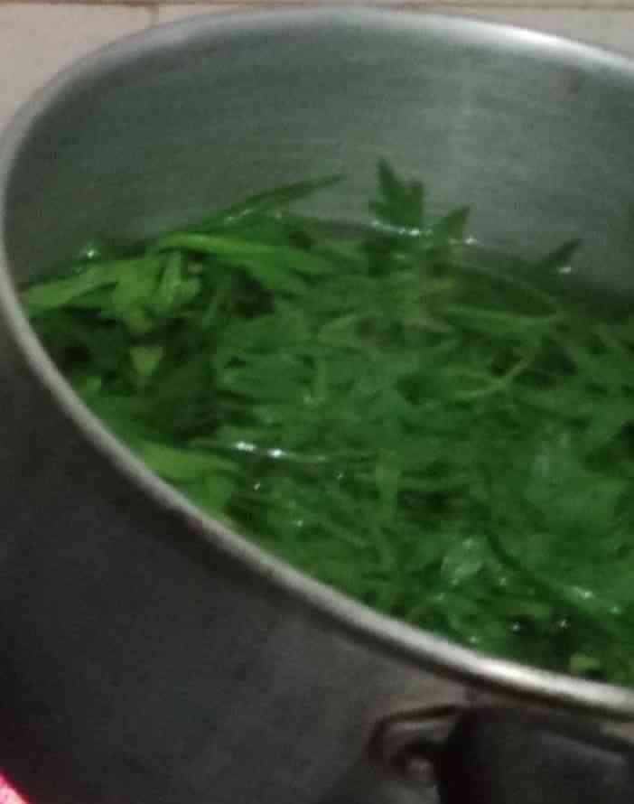 Foto merebus keningkir, dokpri yuliyanti