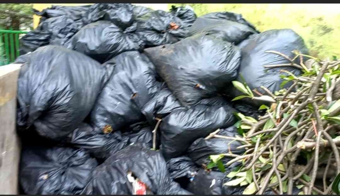 Kondisi sampah basah yang ada di TPS Kantor Menteri LHK, di Manggala Wanabhakti, Jakarta Pusat. (14/10/22). Sumber: DokPri