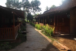 Kampung rumah adat suku osing di Desa Wisata Kemiren (dok asita)