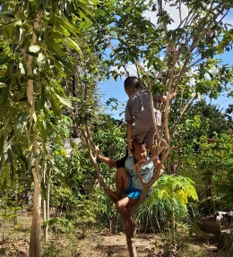 Pohon jambu menjadi tempat favorit anak untuk bermain, termasuk belajar memanjat (dok pribadi)