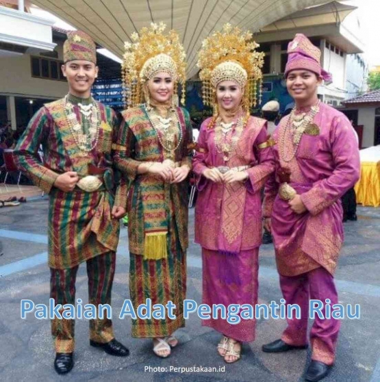 Image: Pakaian Adat Pengantin Riau (Photo: Perpusatakaan.id)