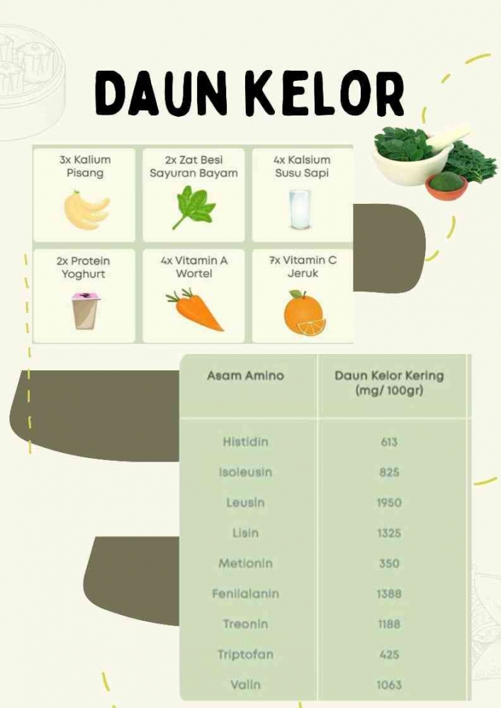 Infografis Daun Kelor (Diolah dari berbagai sumber)