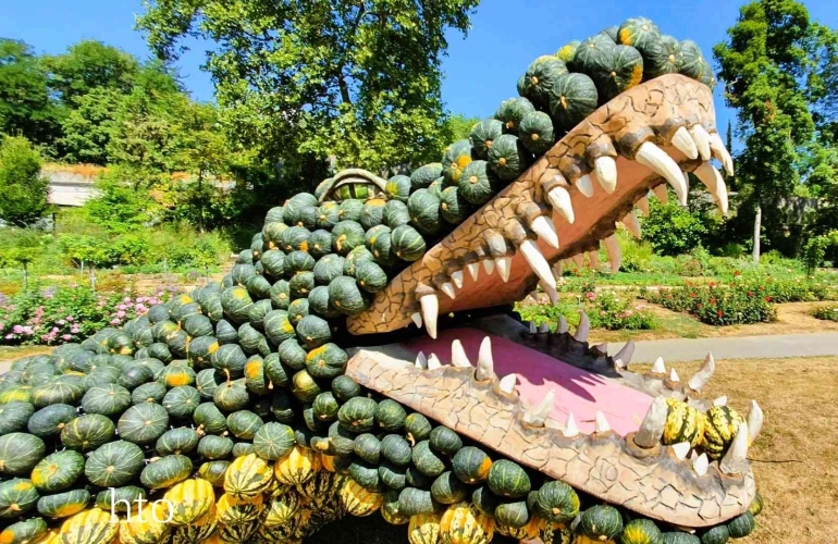 Patung buaya dari labu| foto: HennieOberst 