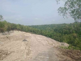 Hutan jati di Bantul yang dibabat untuk perumahan. | Dokumen pribadi 