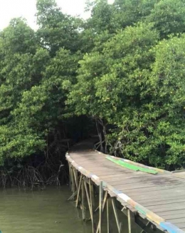 Hutan bakau yang menyatu dengan tungkap sarana wisata warga sekitar (Dokpri)