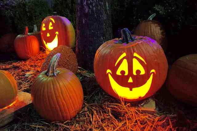 Jack O' Lantern, salah satu simbol perayaan Halloween (Sumber: Unsplash/ Robert Linder)