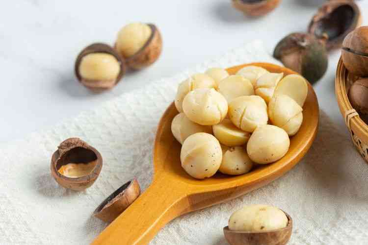 Buah kacang makadamia yang telah dikupas (Sumber: FREEPIK/JKOMP via Kompas.com)