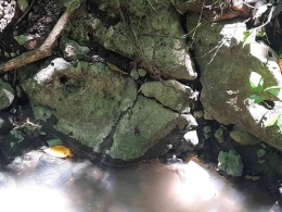 Salah satu mata air kecil yang airnya mengalir ke Maelang. Dokumentasi penulis