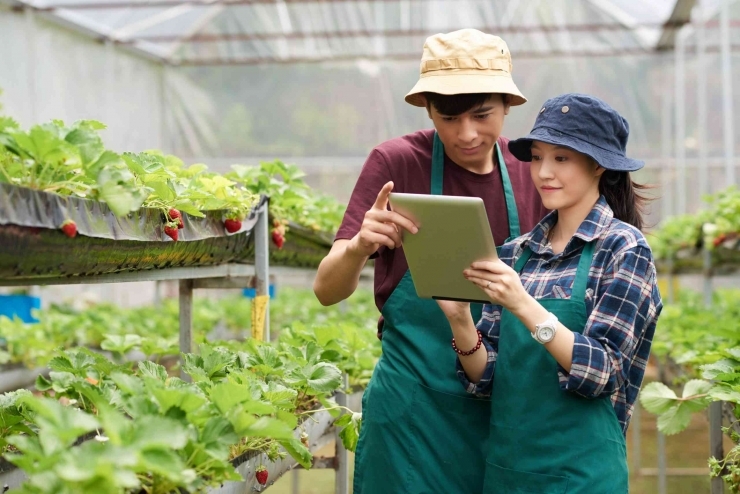 Petani Milenial diharapkan mampu memanfaatkan penggunaan teknologi informasi dalam meningkatkan hasil pertanian. Sumber: Freepik.com