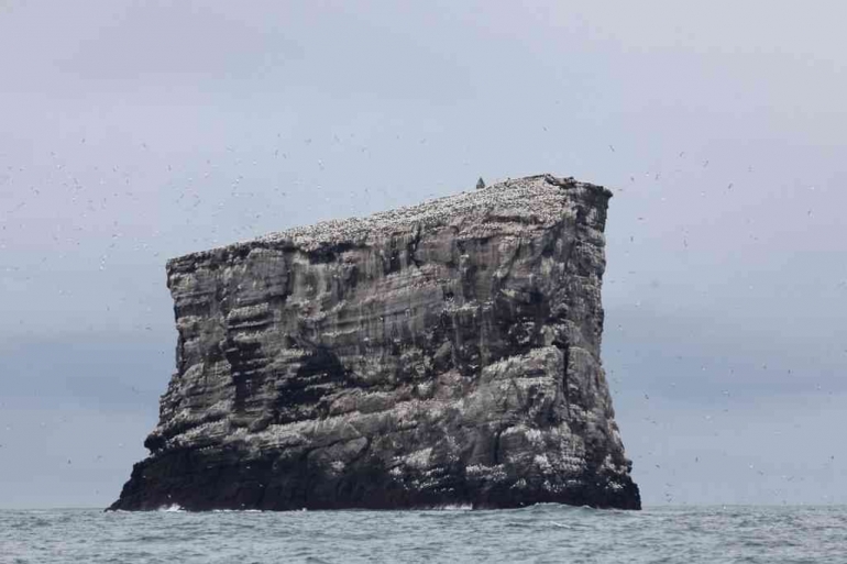 Eldey Island | Source: Wikipedia