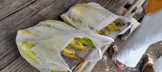 Jagung rebus bisa dibawa pulang (dok pribadi)