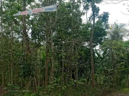 Ngebut Bandem, sebuah banner peringatan bagi pengendara di Guwasari di Bantul. | Dokumen pribadi.