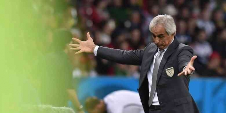 Vahid Halilhodzic. Foto: KIRILL KUDRYAVTSEV / AFP dipublikasikan kompas.com