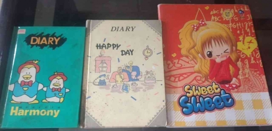 Dua diary di masa remaja dan satu buku catatan naskah (Dokpri)