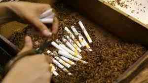 Ilustrasi tembakau rokok (Sumber gambar : tribunnews.com)