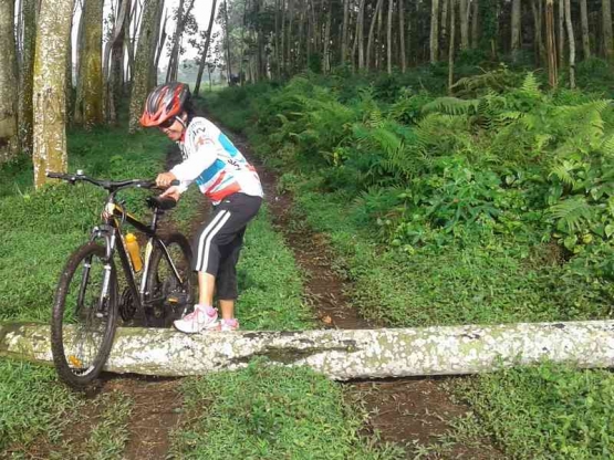 Jalan ditutup dengan batang pohon gegara kebun sering dilewat jip dan trail touring. | Dokumen pribadi.