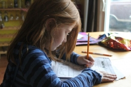 Ilustrasi anak sedang mengerjakan PR atau pekerjaan rumah(pexels.com/Jena Backus) 