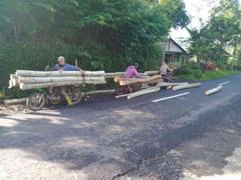 Sepeda motor pengangkut kayu menurunkan muatan di pinggir jalan raya. | Dokumen pribadi 