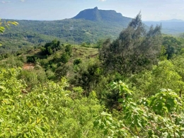 Gunung Mandeu di Kabupaten Belu (Dokpri)
