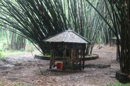 Koleksi tanaman bambu Desa Sanankerto, sumber eastjavatrip.id