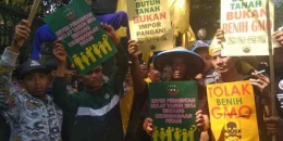 Gambar 2.  Aksi Demo para Petani  Sumber Foto : Serikat Petani Indonesia 