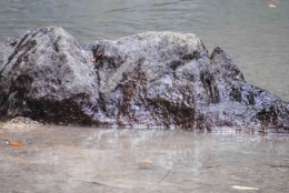 Batu berbentuk manusia tidur di Tiwu Awu | Dokumen pribadi oleh Ino