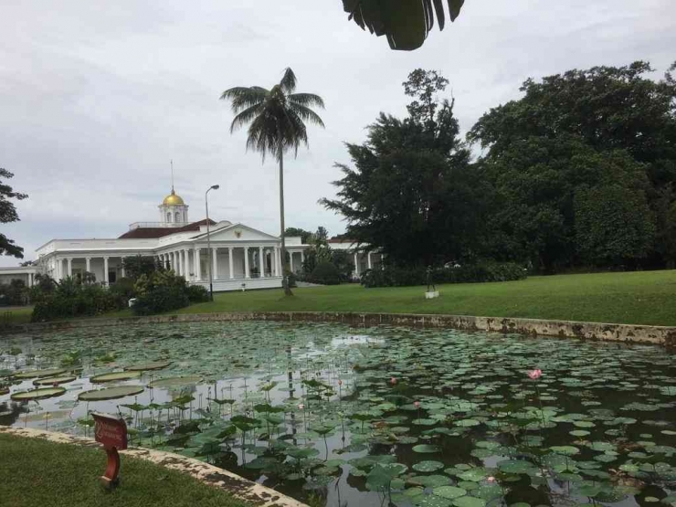 Istana Bogor dilihat dari Kebun Raya: Dokpri
