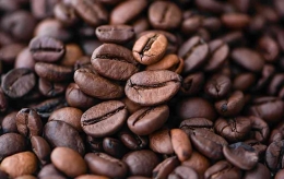 Pantas kopi itu nikmat, perhatikan saja bentuk dan guratan penampang bijinya. (Photo: Pixabay-Google)