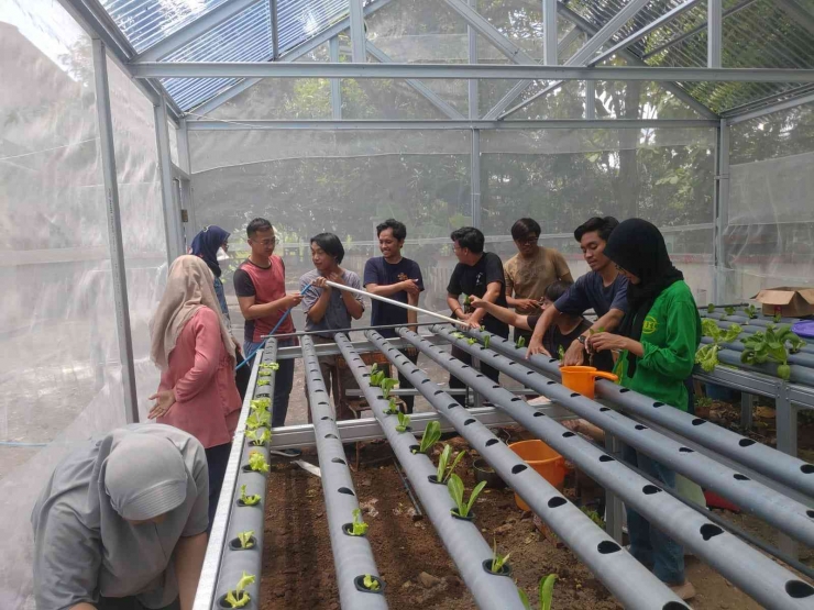 pentingnya pengaturan aliran air dalam sistem hidroponik