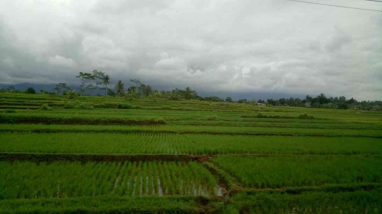 Indonesia memiliki banyak desa dengan segala potensi dan ciri khasnya. | Dokumentasi pribadi.