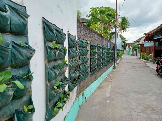 Jalan conblock dan tanaman (foto: ko in)