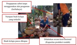 Proses pengupasan sabut kelapa secara konvensional di Gajahrejo (Dokpri)