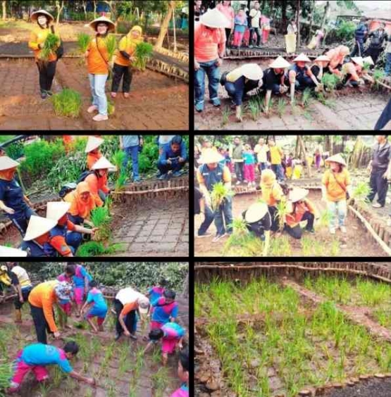 Menanam padi di sawah mini Eduwisata Bhinneka(dok Joko Sarjono)