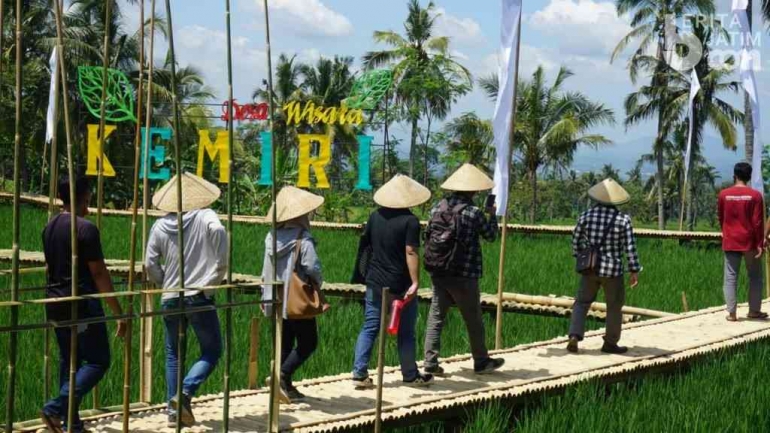 Areal Persawahan yang digagas sebagai wisata oleh sekelompok pemuda di Desa Kemiri, Kecamatan Panti, Jember, Sumber: beritajatim.com