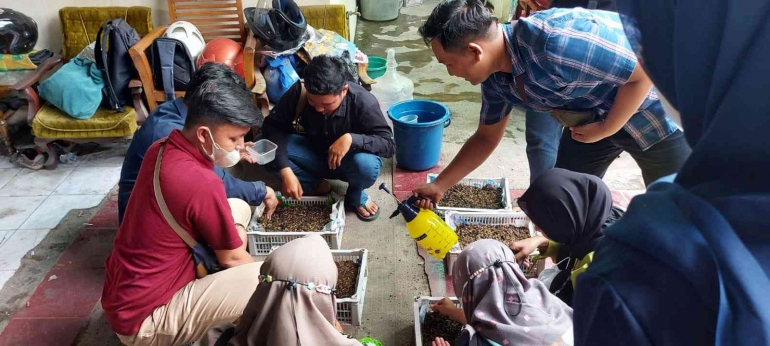 Proker Bnataran Hijau
