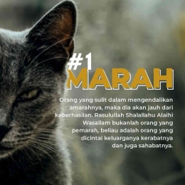 tidak bisa mengendalikan amarah yang sedang melanda (sumber:addawaaindonesia) 