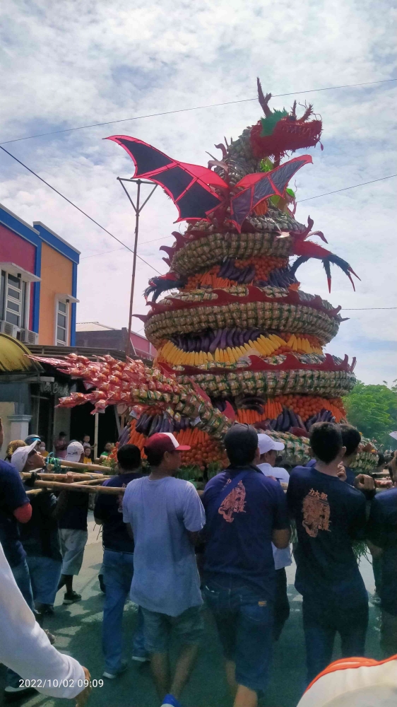 Replika Naga Raksasa terbuat daria aneka macam buah dan sayuran di arak keliling kampung saat Sedekah Bumi (dokpri)