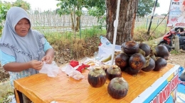 Salah satu penjual buah lontar yang ada di Jalan WR Supratman, Bentiring, Kota Bengkulu  | Jiafni Rismawarni/TribunBengkulu.com