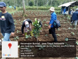 Team Based Project  bersama mentor pejuang muda melakukan gerakan penghijauan satu nama satu pohon yang berlokasi di  Desa Tulungrejo Kecamatan Bumiaj