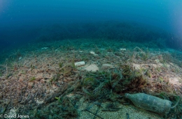 Sampah plastik tersebar di dasar laut. ©David Jones