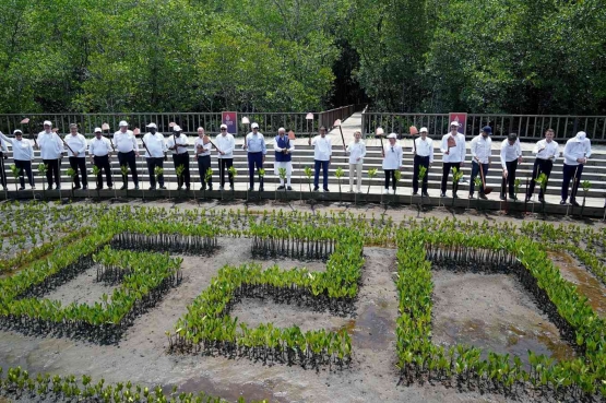 President Jokowi, G20 Leaders Plant Mangrove in BaliSource: https://setkab.go.id/en/president-jokowi-g20-leaders-plant-mangrove-in-bali/ Image caption