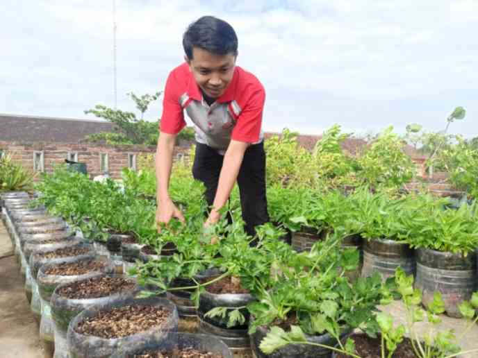 Kreatif. Tarmin, Guru SMKN 2 Ponorogo bertani sayur di atap  rumah (dok foto: Pramita Kusumaningrum/indozone.id)