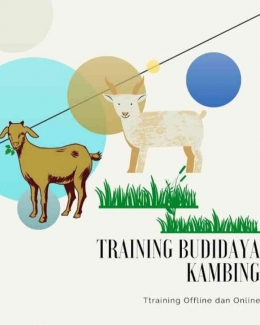 https://mitrasolusitraining.com/training-ternak-kambing-dan-domba/