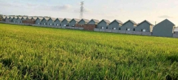 Konversi lahan pertanian produktif untuk kepentingan lain masih saja dilakukan di beberapa daerah (dok foto: suarantb.com)