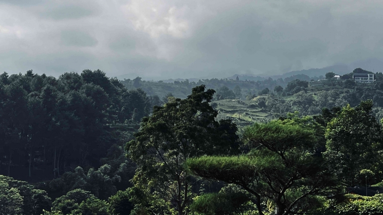Panorama alam di Kebun Jati Pancawati (foto: dokumentasi pribadi)